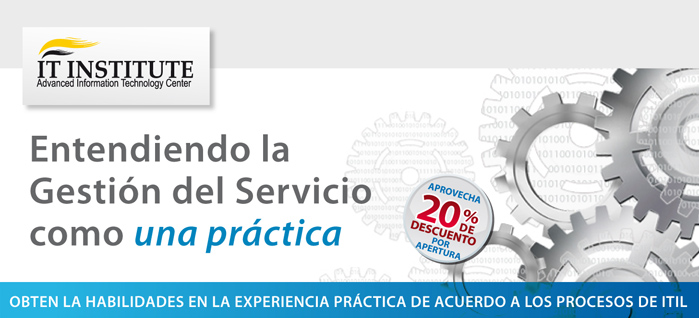 Entendiendo la Gestión del Servicio como una práctica
